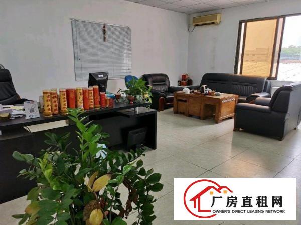  道滘性价比超高的厂房仓库