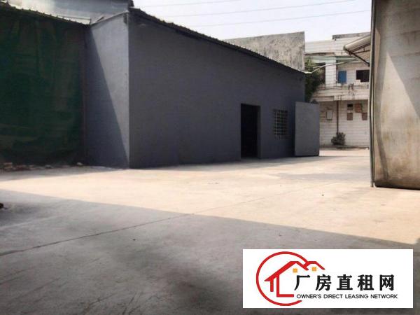 原房东独院厂房，图片真实