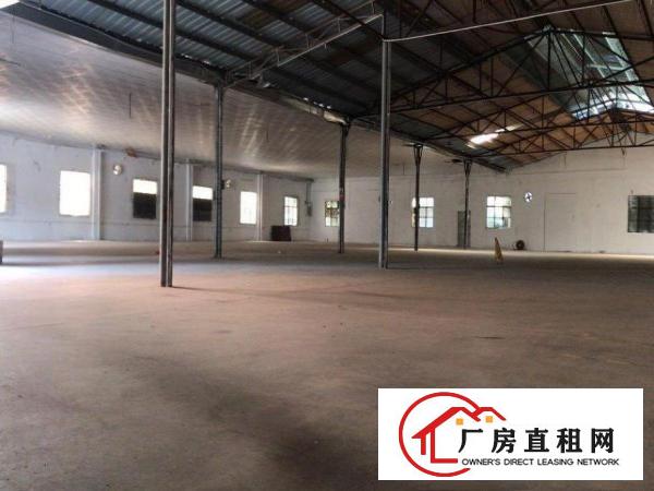  原房东独院厂房，图片真实