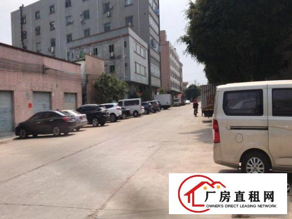  原房东独院厂房，图片真实