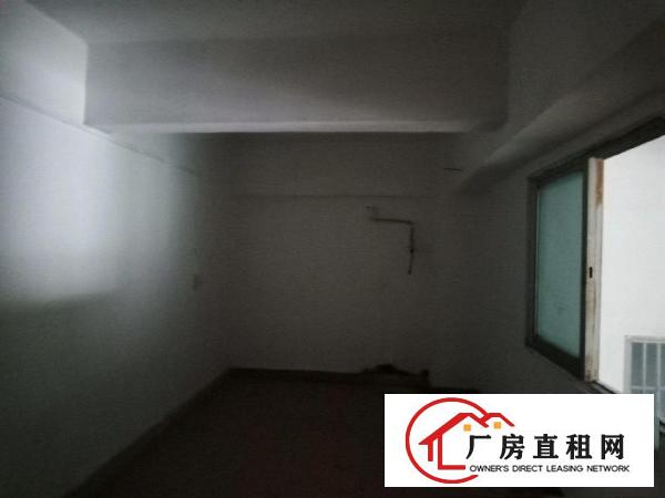  蔡白独栋厂房招租诚意招租