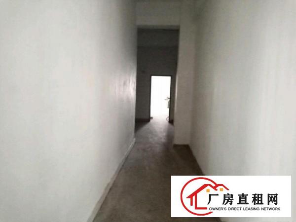  蔡白独栋厂房招租诚意招租