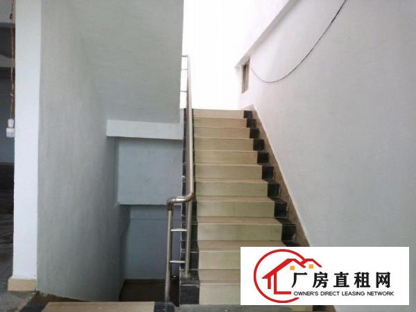  蔡白独栋厂房招租诚意招租