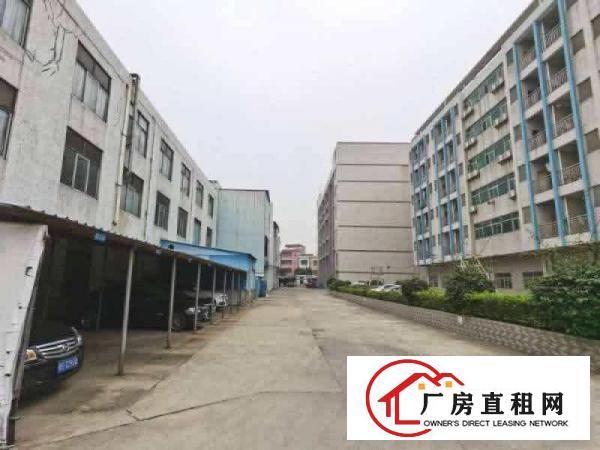  形象好豪华办公室厂房招租