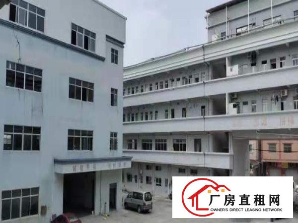  厂房，办公室，宿舍，写字楼长期出租