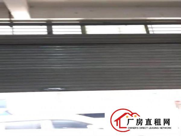  原房东自建房，实面积