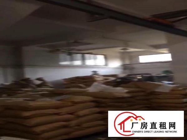  原房东自建房，实面积