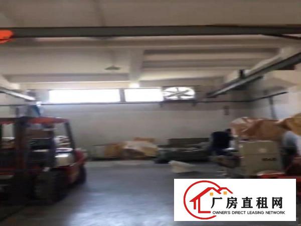  原房东自建房，实面积