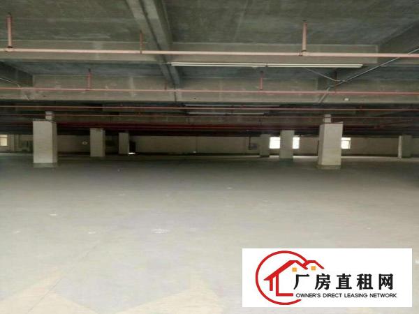  道滘大型工业园一楼仓库厂房出租