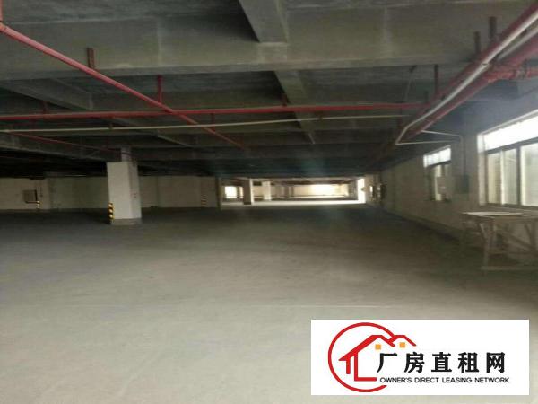  道滘大型工业园一楼仓库厂房出租