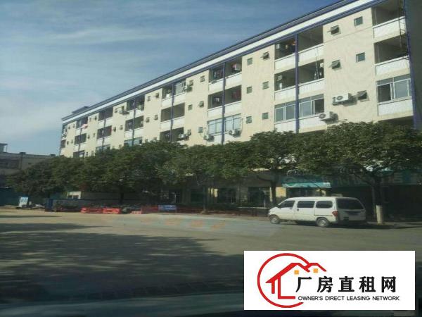  厚街,道滘现有大量独院厂房火爆招租中