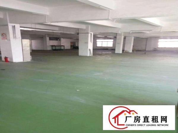  道滘一楼厂房仓库出租分租