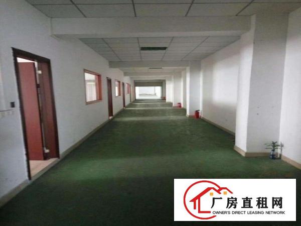  道滘一楼厂房仓库出租分租