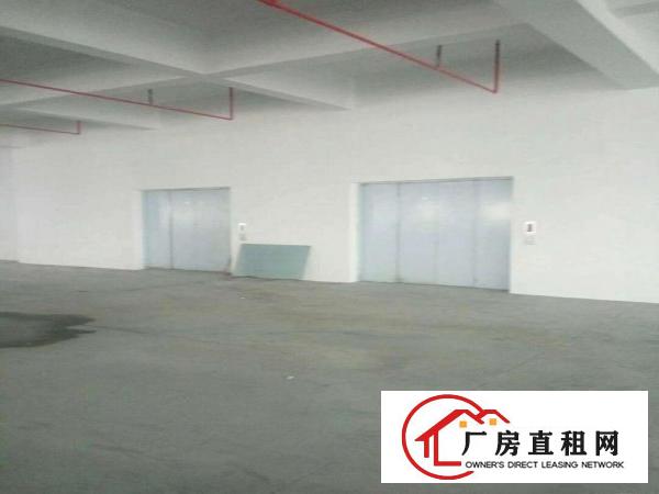  道滘一楼厂房仓库出租分租