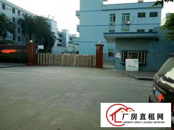  道滘一楼厂房仓库出租分租