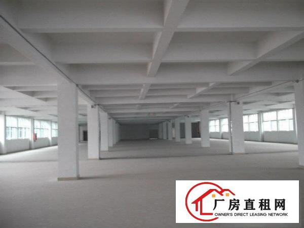  道滘小河配套齐全超靓各种厂房出租,标准厂房分租