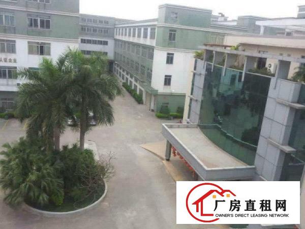  道滘小河配套齐全超靓各种厂房出租,标准厂房分租