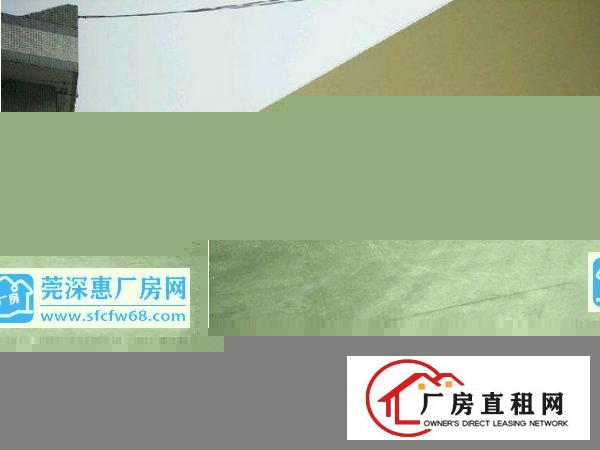  道滘小河配套齐全超靓各种厂房出租,标准厂房分租