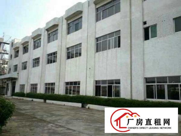  道滘一楼厂房仓库出租区