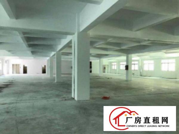  道滘独院厂房一栋1-3楼出租共5000平方,形象好