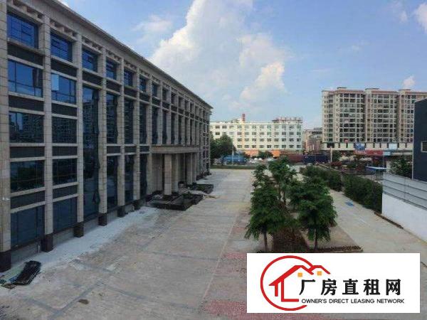  道滘万江独院标准厂房出租