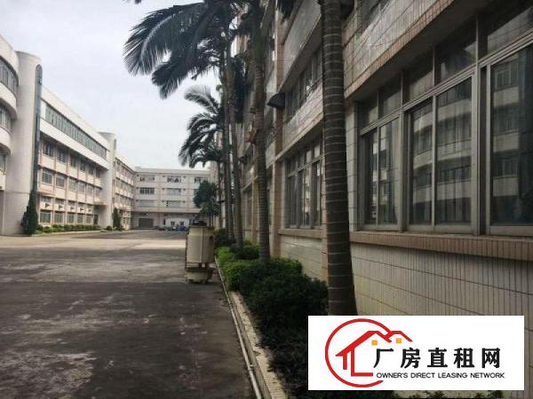  道滘万江独院标准厂房出租
