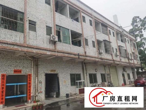  东莞市道滘新出独门独院厂房