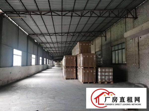  东莞市道滘新出独门独院厂房