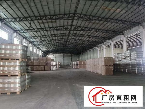  东莞市道滘新出独门独院厂房