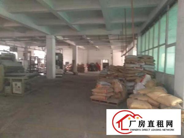  道滘独门独院标准厂房1楼4500平方出租可办环评宿舍办公室