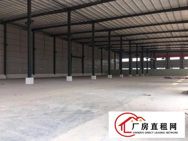  出租道滘镇九曲新出精品独院单一层厂房2800平方，滴水八米
