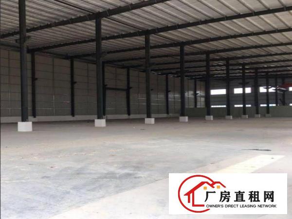  出租道滘镇九曲新出精品独院单一层厂房2800平方，滴水八米