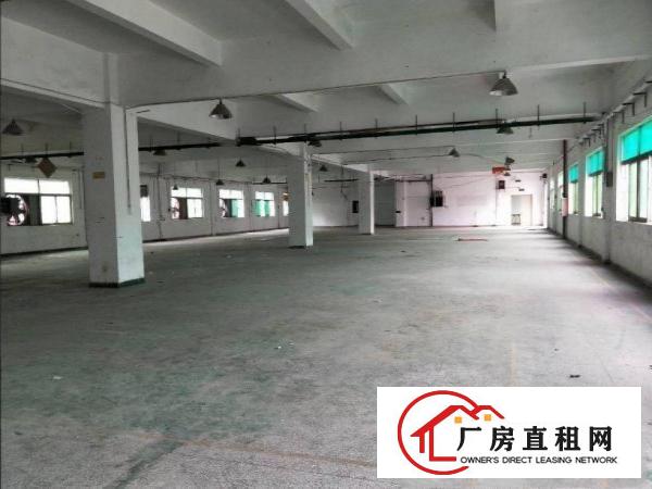  道滘镇北永出租新出独门独院600起租，水电齐全精装修