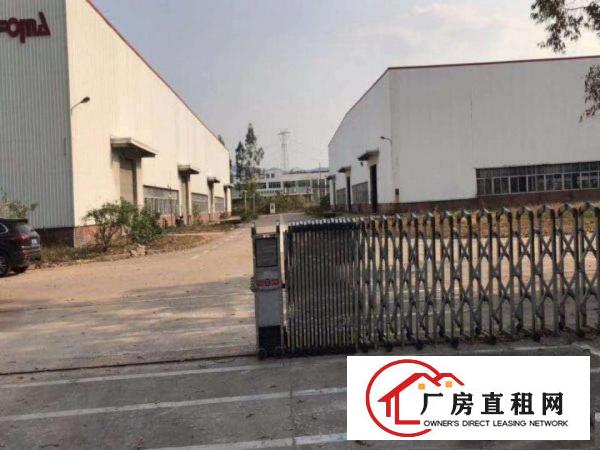  道滘大量标准一楼钢构独院厂房招租