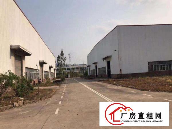  道滘大量标准一楼钢构独院厂房招租