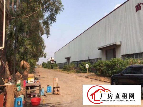  道滘大量标准一楼钢构独院厂房招租