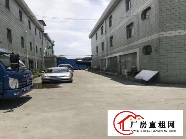  道滘大量标准一楼钢构独院厂房招租