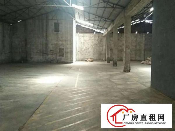  道滘大量标准一楼钢构独院厂房招租