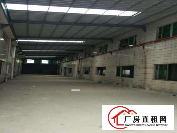  道滘大量标准一楼独院厂房招租
