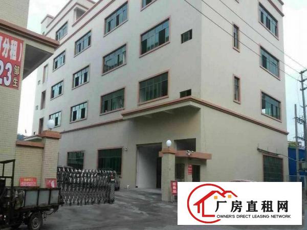  道滘大型工业园一楼厂房物流仓库出租