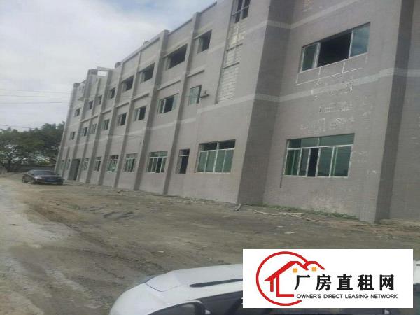  道滘大量标准一楼独院厂房招租