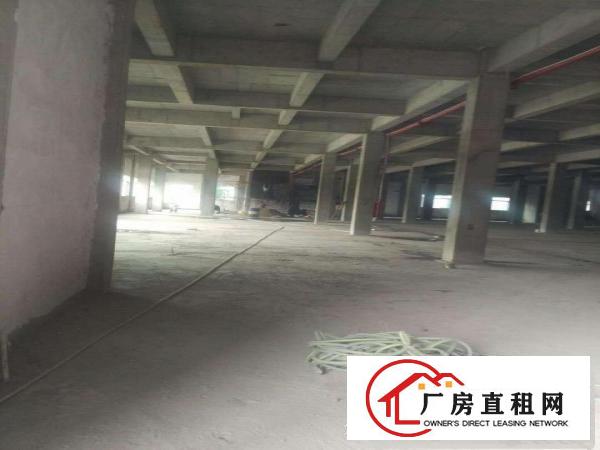  道滘大量标准一楼独院厂房招租