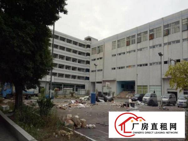  道滘大量标准一楼独院厂房招租
