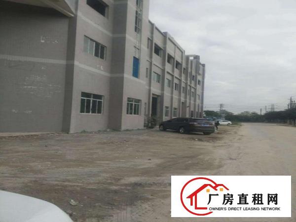  道滘大量标准一楼独院厂房招租