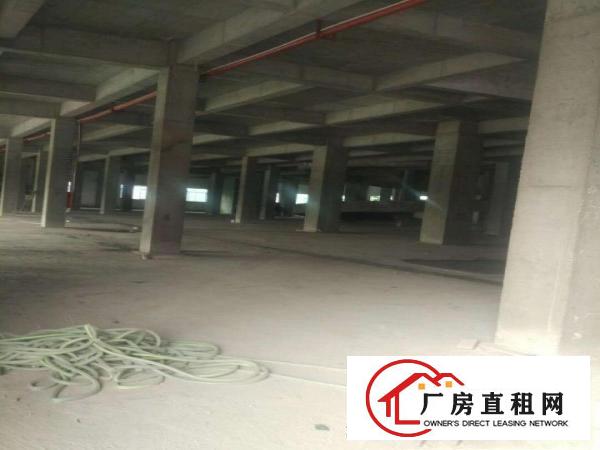  道滘大量标准一楼独院厂房招租