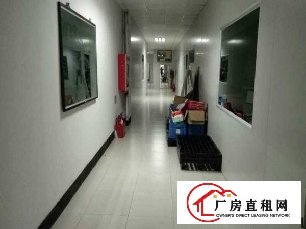  道滘大量标准一楼独院厂房招租
