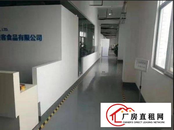  道滘镇大岭丫独栋小厂房900平方出租，带精装修