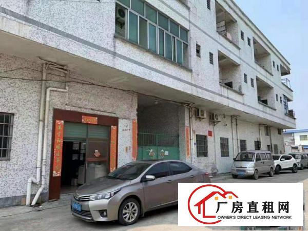  道滘万江1000平方米单层一楼小型厂房仓库招租