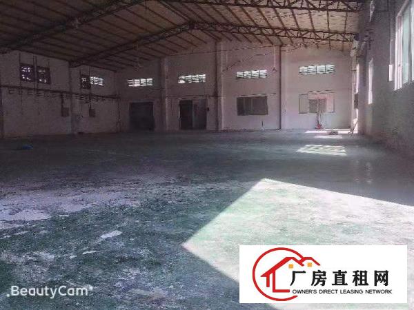  道滘万江1000平方米单层一楼小型厂房仓库招租