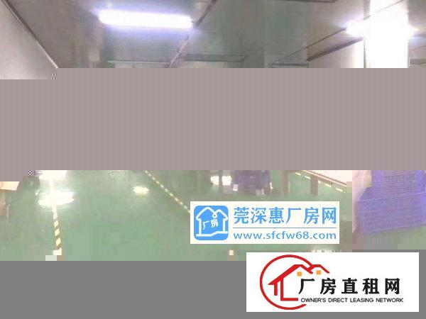  大岭丫新出楼上1000平带精装豪华装修厂房出租